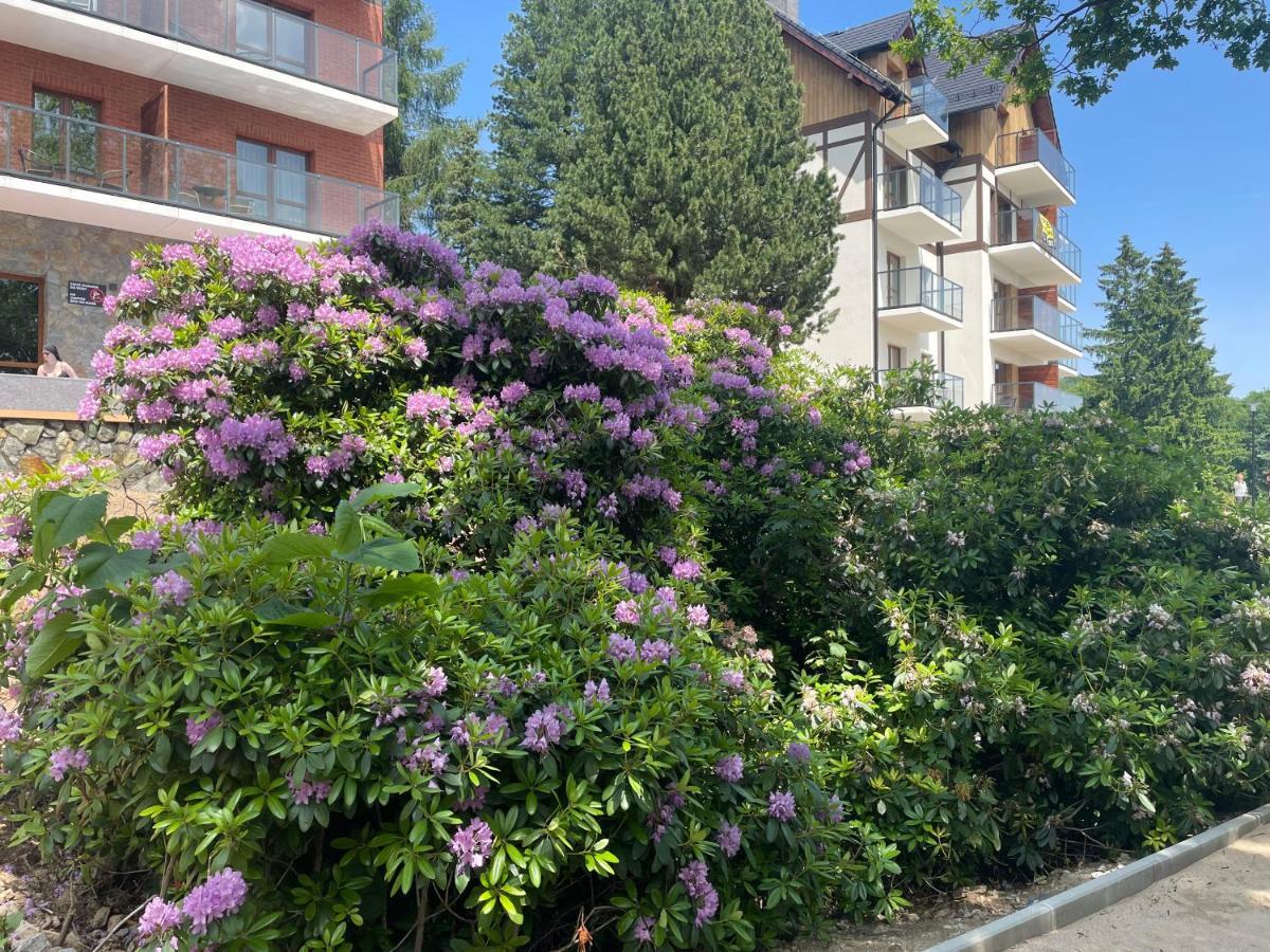 Apartament N&B Szklarska Poreba Exterior photo